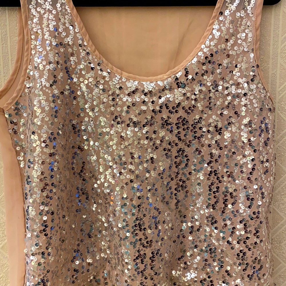 Blush sparkly sequin sheer top